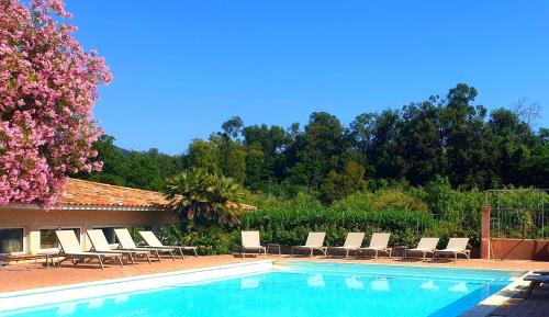 韦基奥圣露西港口Hotel Olmuccio的一个带躺椅的游泳池以及一棵树