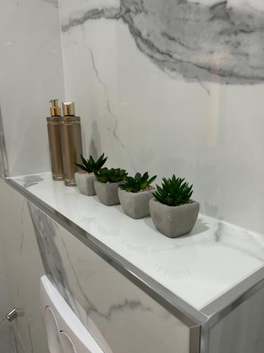 里耶卡Rijeka UrbanSPA的四个植物坐在浴室的玻璃架上