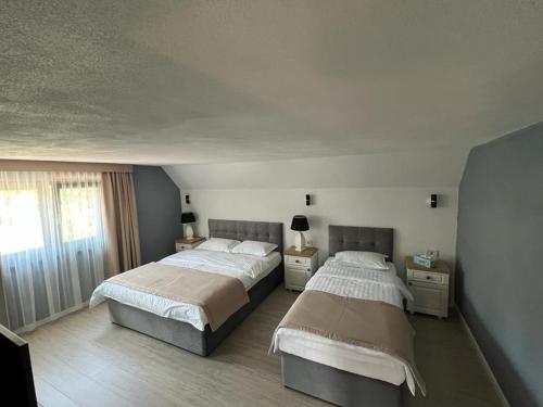 托普利察PENSIUNEA IZABELLA, Vila Cocket的一间卧室设有两张床和窗户。