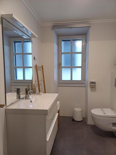 埃利松多Aritza Apartamentos Turísticos Rurales的一间带水槽、卫生间和镜子的浴室