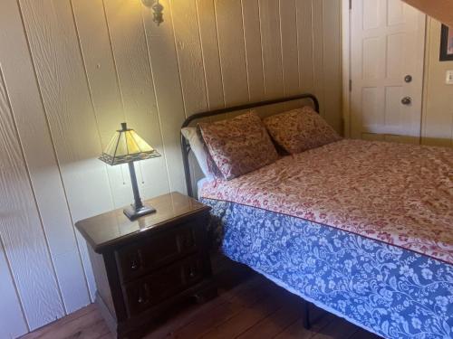 冬季公园The Viking Lodge - Downtown Winter Park Colorado的一间卧室,配有一张床和床头灯