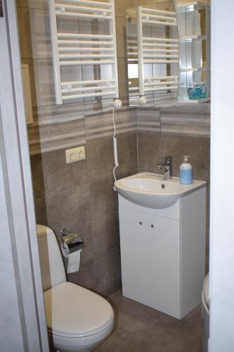 陶格夫匹尔斯Kandavas Apartments的一间带卫生间和水槽的浴室