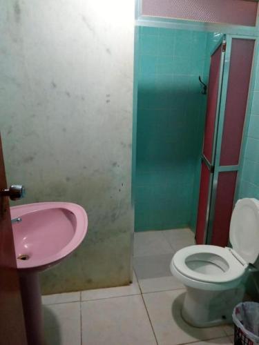 巴西利亚Beiruth Hotel的一间带粉色水槽和卫生间的浴室