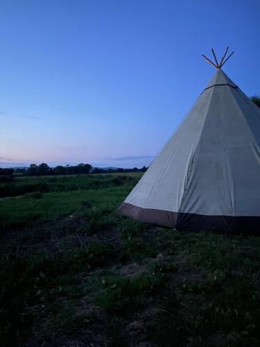 Stoke CanonDevon Tipi Camp And Glamp的坐在草地上的白色帐篷