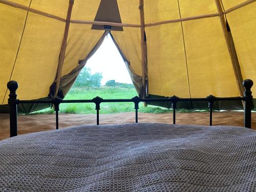 Stoke CanonDevon Tipi Camp And Glamp的一个带窗户的帐篷内一间卧室,配有一张床