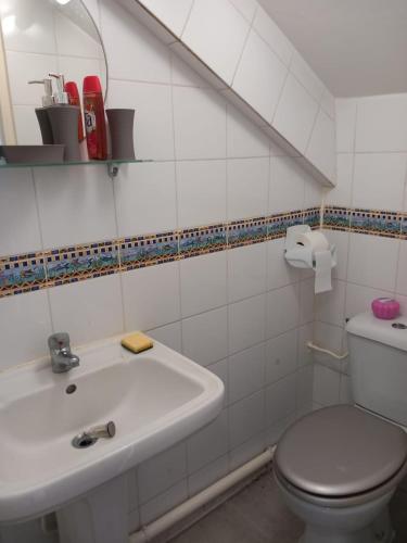 法兰西堡Victory Locations的一间带卫生间和水槽的浴室