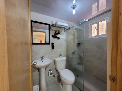 LiceyApto Entero familiar espacioso con piscina confortable的浴室配有卫生间、盥洗盆和淋浴。