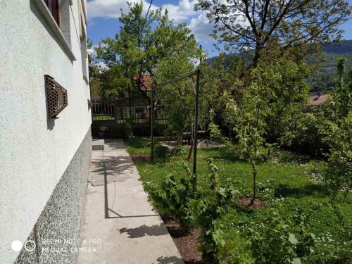 萨拉热窝Guesthouse Vratnik的花园旁的树木和植物