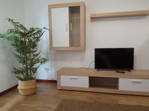 阿维莱斯Bonito Apartamento en Aviles的一间带电视和盆栽植物的客厅