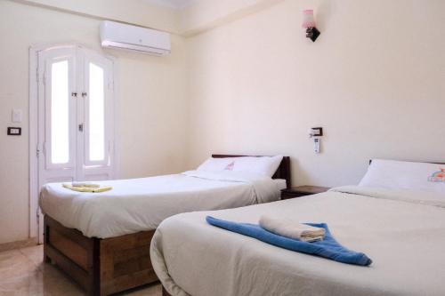 锡瓦Al-Manara Hostel Siwa Oasis的客房设有两张床和窗户。