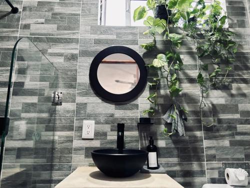 奥尔沃克斯岛Casa Tsunuum的浴室设有水槽、镜子和植物