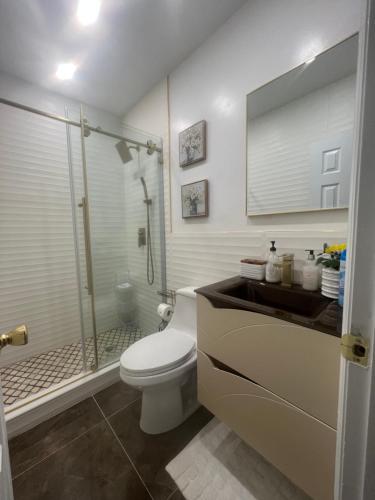 布鲁克林Room at The Oasis的一间带卫生间和玻璃淋浴间的浴室