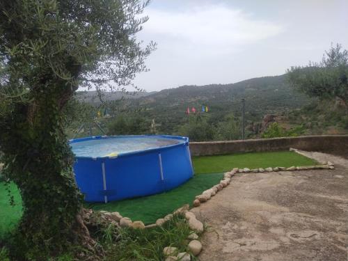 莱图尔Casa Chorreón的草场顶部的大蓝色浴缸
