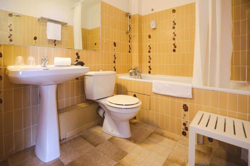圣迈克桑莱科勒Hôtel Le Cheval Blanc的一间带卫生间和水槽的浴室