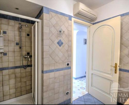 普莱伊亚诺Villino Blu的一间带步入式淋浴间和门的浴室