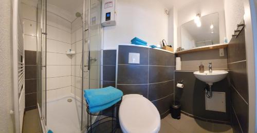 RambinFewo Steuerbord的浴室配有卫生间、盥洗盆和淋浴。
