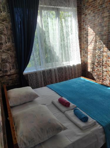 苏呼米Гостевой дом ИРИНА的一间卧室配有两张带枕头的床和窗户。