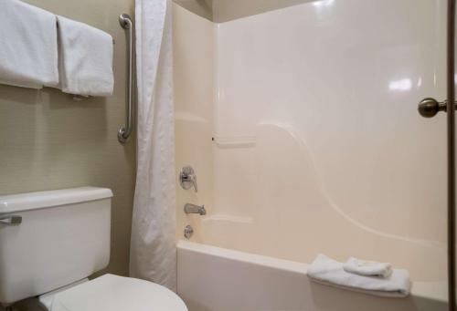 大布兰克Quality Inn的浴室配有白色卫生间和淋浴。