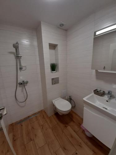 卡赞勒克Апартамент ДОРА的浴室配有卫生间、盥洗盆和淋浴。