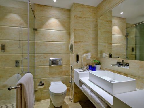 阿姆利则Fortune Inn Heritage Walk Amritsar的一间带水槽、卫生间和淋浴的浴室