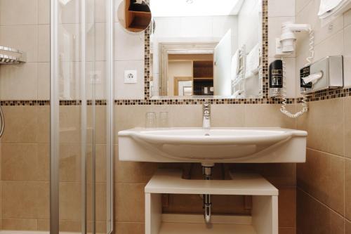 弗拉绍加尼塔伦霍夫公寓式酒店的一间带水槽和淋浴的浴室