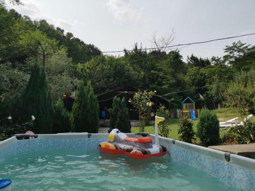 奥尔绍瓦Casa Noastra的后院里带充气木筏的游泳池