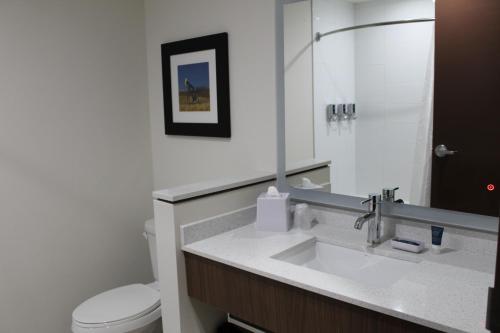 埃德蒙顿Four Points by Sheraton Edmonton West的一间带水槽、卫生间和镜子的浴室