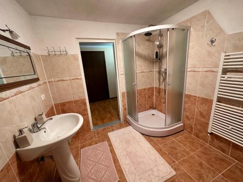 Statjunea BorsaPensiunea 3flori de Colț的带淋浴和白色盥洗盆的浴室