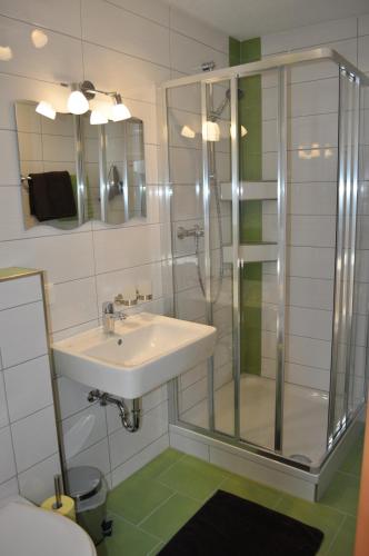 Vordergöriach哈斯霍夫民宿的一间带水槽和淋浴的浴室