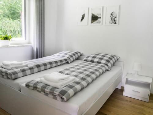 莫斯纳Domek Moszna的两张床位于一个房间窗户旁