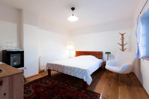 德意志兰茨贝格Zimmer am Weinberg的一间卧室配有一张床、一把椅子和电视。