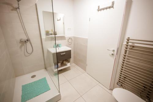 摩拉瓦托普利采Apartma Sofija, Moravski Dvori的带淋浴、卫生间和盥洗盆的浴室
