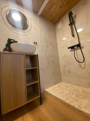 Tiny house Malý gurmán的一间带水槽和淋浴的浴室