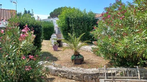 雷岛圣玛丽LE clos do ré的庭院里种有树木和植物的花园