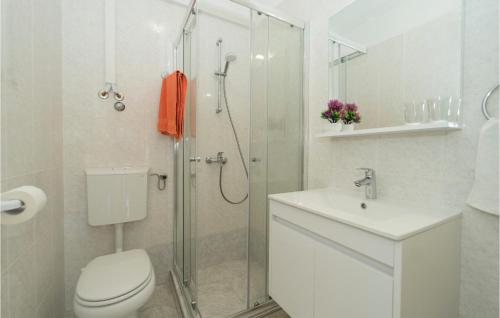 布拉托Amazing Apartment In Blato With Wifi的带淋浴、卫生间和盥洗盆的浴室