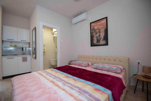 特雷比涅Apartmani Berdovic的一间卧室配有一张大床和两个枕头