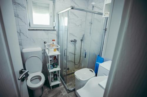 Vila Odmor的带淋浴、卫生间和盥洗盆的浴室
