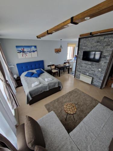 Green life, Bansko, private apartment c-17平面图