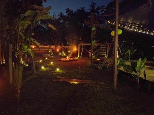 莱蒂西亚Nomada Hostel的夜晚在草地上灯光 ⁇ 的花园