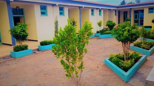 BulbulaWayu Nova Guesthouse的一座庭院,在一座建筑前有树木和蓝色的种植园