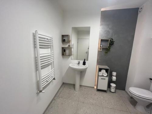 克卢日-纳波卡Hope的白色的浴室设有水槽和卫生间。