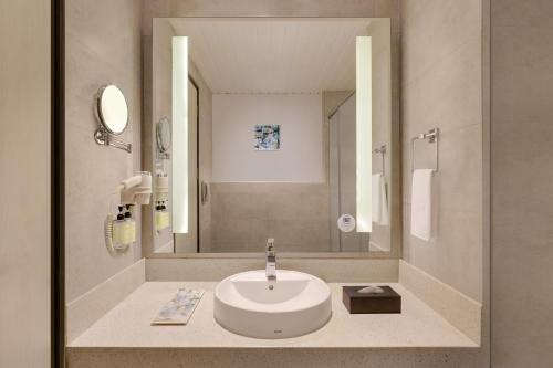 胡布利Lemon Tree Hotel, Hubli的一间带水槽和大镜子的浴室