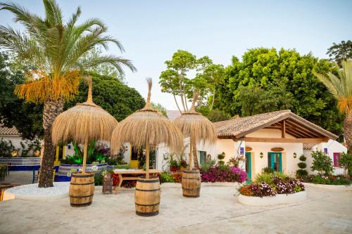 塔里法Dunas Luxury Beach Resort Tarifa的有一捆桶子和棕榈树的房子