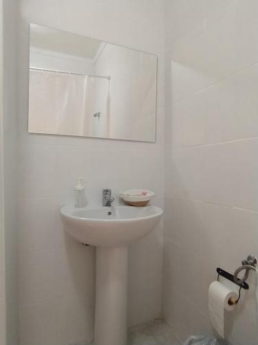 蒙地卡罗Hostal El Pinar的白色的浴室设有水槽和镜子