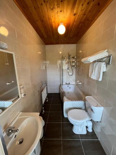 克利夫登Faul House的浴室配有卫生间、盥洗盆和浴缸。