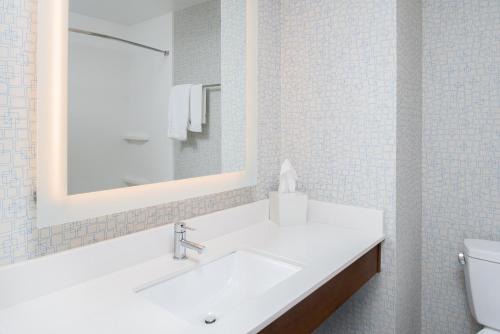 俾斯麦俾斯麦智选假日酒店的一间带水槽、镜子和卫生间的浴室