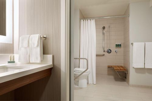 渥太华渥太华市区万怡酒店的浴室配有卫生间、盥洗盆和淋浴。