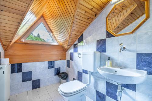 GrahovoHouse Mavko Near Lake Cerknica的一间带卫生间、水槽和窗户的浴室