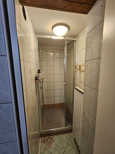 霍茨科波霍尔耶Ruška koča的浴室里设有玻璃门淋浴