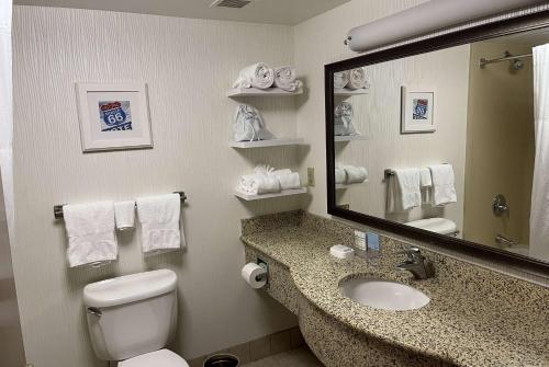 圣安Wingate by Wyndham St Louis Airport的一间带卫生间、水槽和镜子的浴室